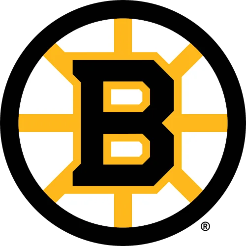 BOSTONBRUI