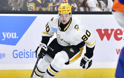 Viena NHL kluba sistēmu nomaina pret citu – uzbrucējs Raivis Ansons ticis pie jaunas komandas