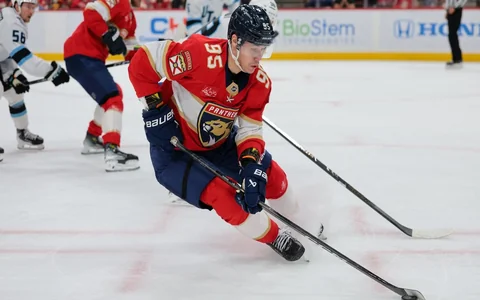 Vilmanis gūst savus pirmos vārtus NHL